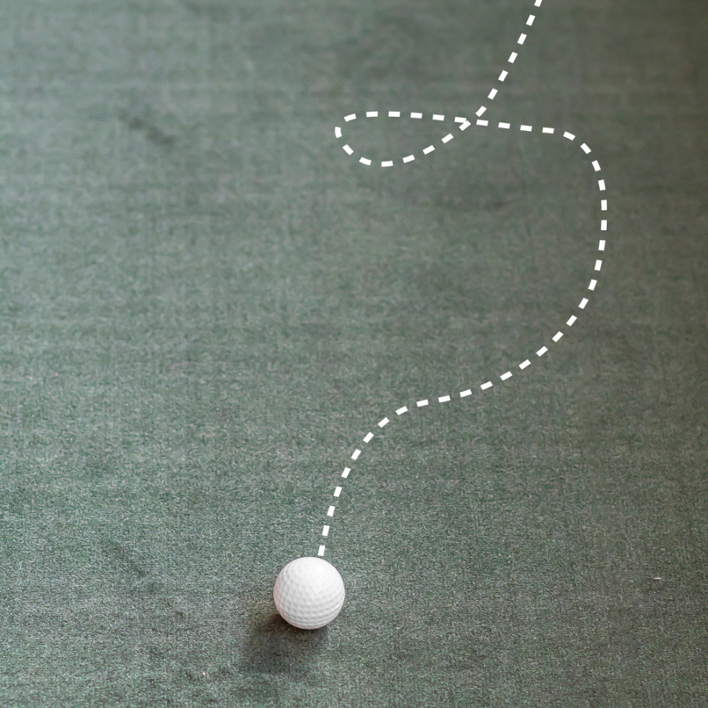 Longridge Golfer's Joke Golf Balls